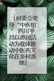 村委会变身“中医馆” 四川平昌以惠民活动为载体推动中医药文化在乡村落地