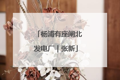 杨浦有座闸北发电厂｜张新