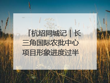 杭绍同城记｜长三角国际农批中心项目形象进度过半，华东“菜篮子”建设加码提速！