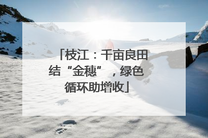 枝江：千亩良田结“金穗”，绿色循环助增收