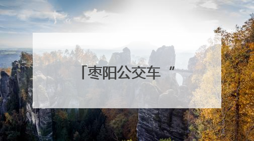 枣阳公交车“低碳”迎亲 诠释别样浪漫