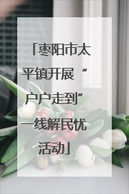 枣阳市太平镇开展“户户走到”一线解民忧活动