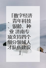 数字经济、青年科技、银龄、种业 济南专项支持四个细分领域人才队伍建设