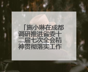 施小琳在成都调研推进省委十二届七次全会精神贯彻落实工作 共同推动文旅深度融合高质量发展 加快打造支柱产业民生产业幸福产业