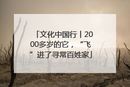 文化中国行丨2000多岁的它，“飞”进了寻常百姓家