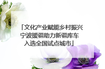 文化产业赋能乡村振兴 宁波援疆助力新疆库车入选全国试点城市