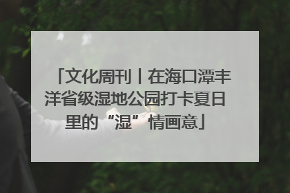 文化周刊丨在海口潭丰洋省级湿地公园打卡夏日里的“湿”情画意