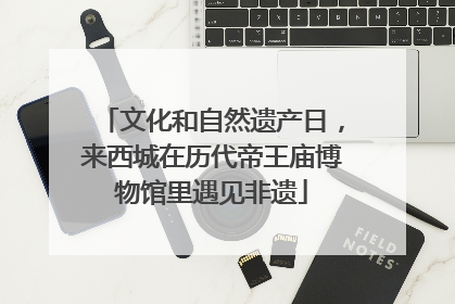 文化和自然遗产日，来西城在历代帝王庙博物馆里遇见非遗