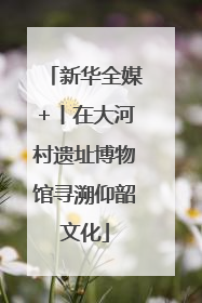 新华全媒+丨在大河村遗址博物馆寻溯仰韶文化