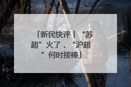 新民快评丨“苏超”火了，“沪超”何时接棒