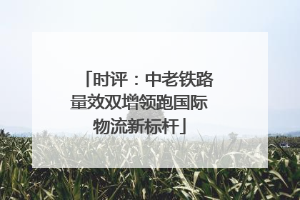 时评：中老铁路量效双增领跑国际物流新标杆