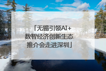 无锡引领AI+数智经济创新生态推介会走进深圳