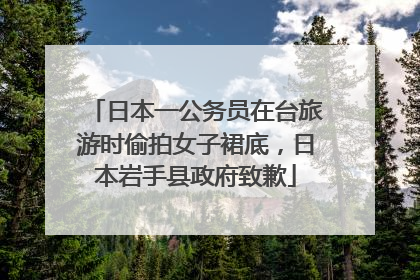 日本一公务员在台旅游时偷拍女子裙底，日本岩手县政府致歉