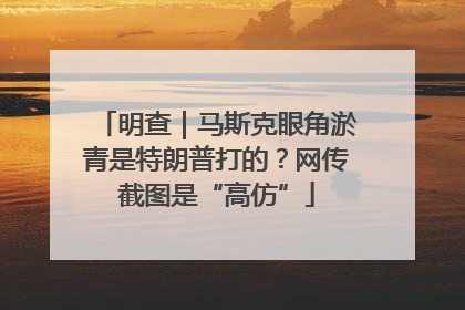 明查｜马斯克眼角淤青是特朗普打的？网传截图是“高仿”