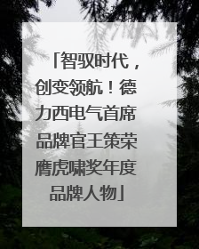 智驭时代，创变领航！德力西电气首席品牌官王策荣膺虎啸奖年度品牌人物