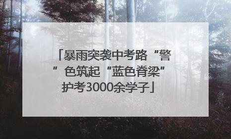 暴雨突袭中考路“警”色筑起“蓝色脊梁”护考3000余学子