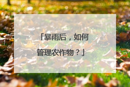 暴雨后，如何管理农作物？