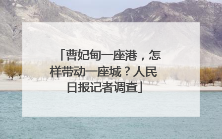 曹妃甸一座港，怎样带动一座城？人民日报记者调查