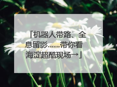 机器人带路、全息留影……带你看海淀超酷现场→