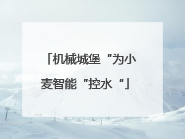 机械城堡“为小麦智能“控水“