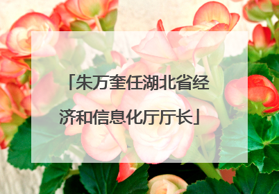 朱万奎任湖北省经济和信息化厅厅长
