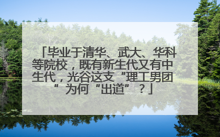 毕业于清华、武大、华科等院校，既有新生代又有中生代，光谷这支“理工男团”为何“出道”？