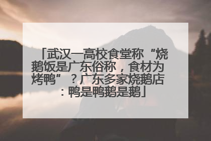 武汉一高校食堂称“烧鹅饭是广东俗称，食材为烤鸭”？广东多家烧鹅店：鸭是鸭鹅是鹅