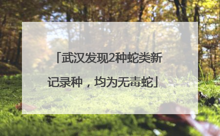 武汉发现2种蛇类新记录种，均为无毒蛇