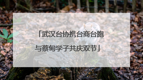 武汉台协携台商台胞与蔡甸学子共庆双节