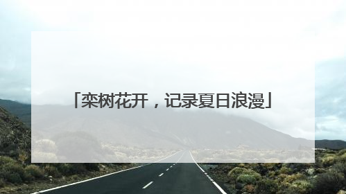 栾树花开，记录夏日浪漫