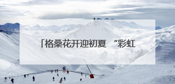 格桑花开迎初夏 “彩虹公路”绘锦绣 德兴以生态之笔绘就宜居幸福图景