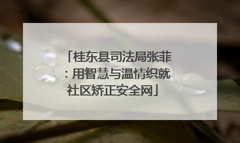 桂东县司法局张菲：用智慧与温情织就社区矫正安全网