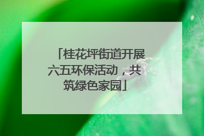 桂花坪街道开展六五环保活动，共筑绿色家园