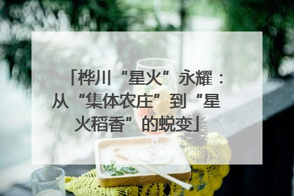 桦川“星火”永耀：从“集体农庄”到“星火稻香”的蜕变