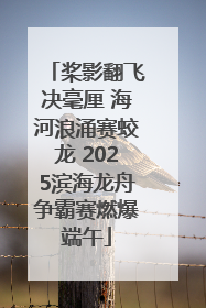 桨影翻飞决毫厘 海河浪涌赛蛟龙 2025滨海龙舟争霸赛燃爆端午