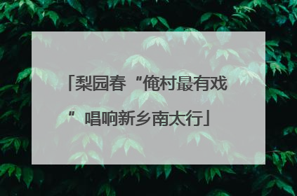梨园春“俺村最有戏”唱响新乡南太行