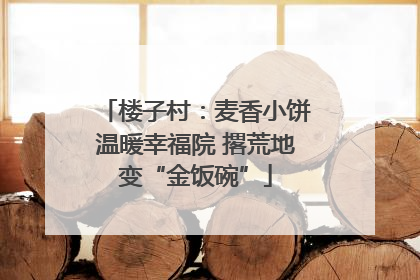 楼子村：麦香小饼温暖幸福院 撂荒地变“金饭碗”