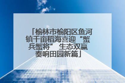 榆林市榆阳区鱼河镇千亩稻海喜迎“蟹兵蟹将” 生态双赢奏响田园新篇