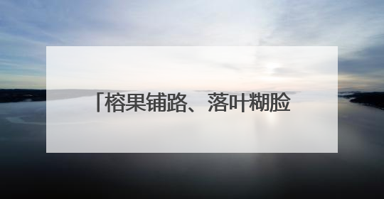 榕果铺路、落叶糊脸！泉州一路面变“溜冰场”，部门回应→