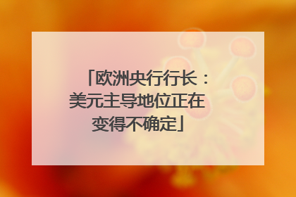 欧洲央行行长：美元主导地位正在变得不确定