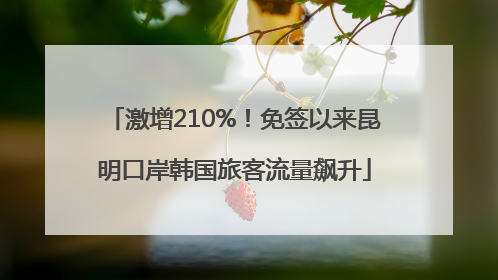 激增210%！免签以来昆明口岸韩国旅客流量飙升