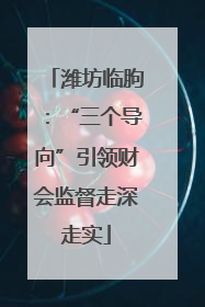潍坊临朐：“三个导向”引领财会监督走深走实