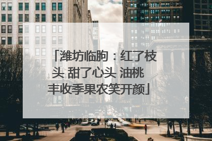 潍坊临朐：红了枝头 甜了心头 油桃丰收季果农笑开颜