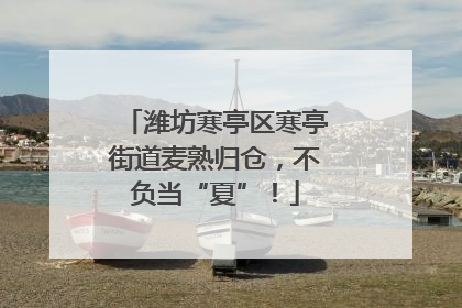 潍坊寒亭区寒亭街道麦熟归仓，不负当“夏”！