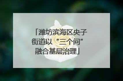 潍坊滨海区央子街道以“三个问”融合基层治理