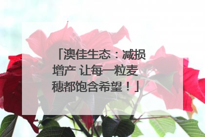 澳佳生态：减损增产 让每一粒麦穗都饱含希望！