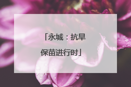 永城：抗旱保苗进行时