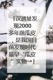 汉遗址发现2000多年前瓜皮，是我国目前发现时代最早“瓜皮”实物→