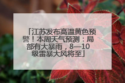 江苏发布高温黄色预警！本周天气预测：局部有大暴雨，8—10级雷暴大风将至