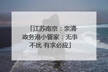江苏南京：亲清·政务港小管家：无事不扰 有求必应